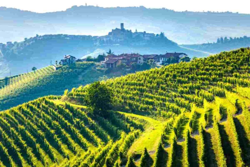 Langhe