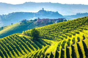 Langhe