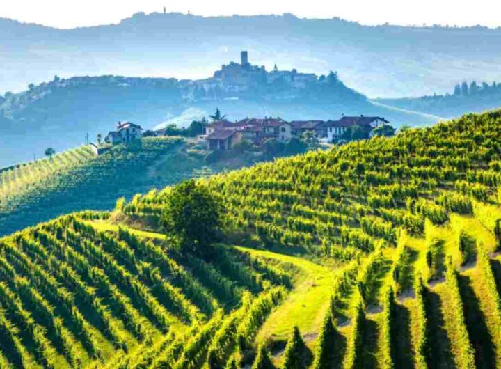 Langhe