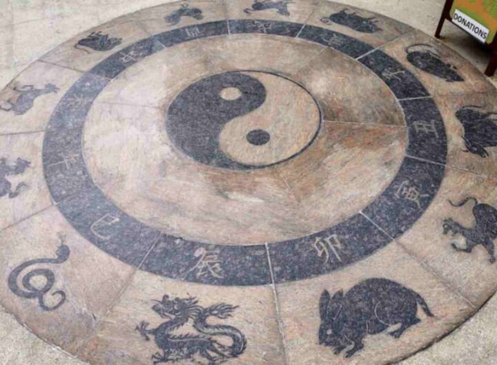 Il calendario cinese 2025 segna l’anno del Serpente, un segno che porta con sé saggezza, mistero e introspezione.
